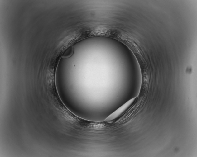 X0000098130665200804171523