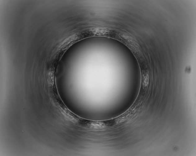 X0000098130666200804171523