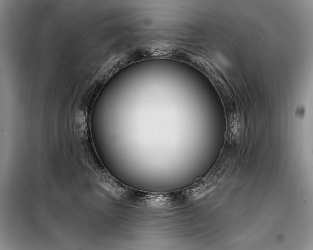 X0000098130667200804171523