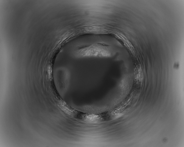 X0000098130669200804171523