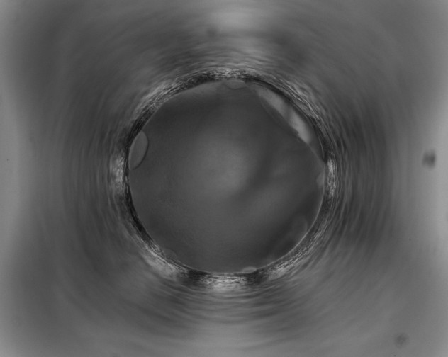 X0000098130670200804171523