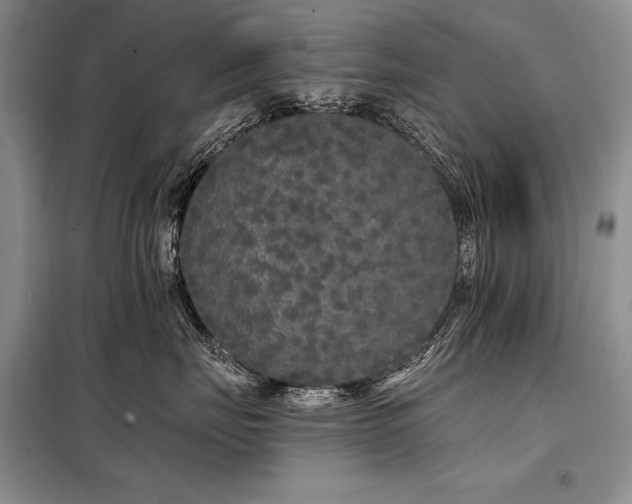 X0000098130671200804171523