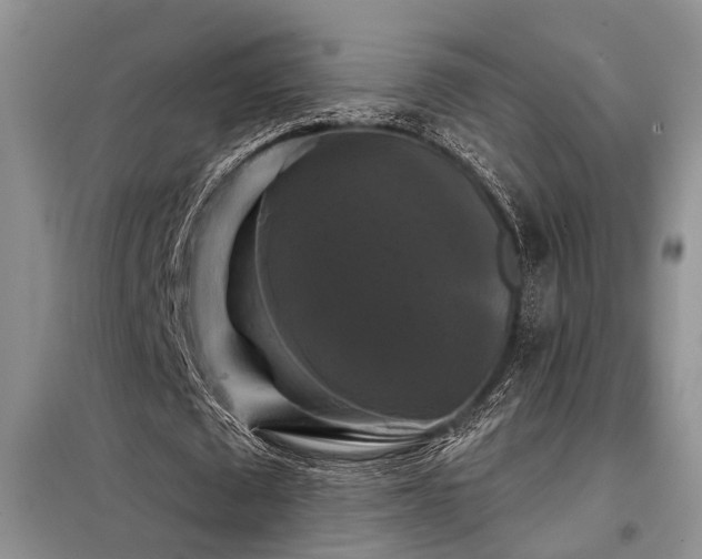 X0000098130673200804171522