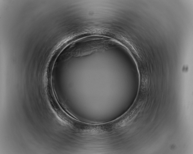 X0000098130674200804171522