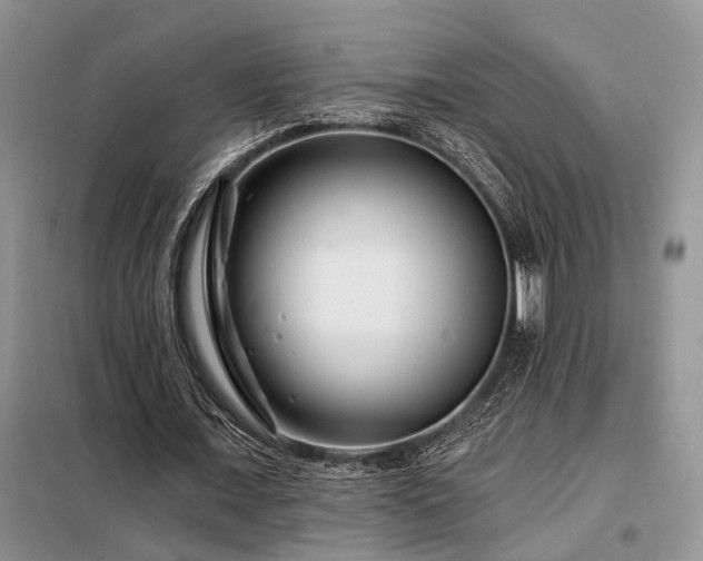 X0000098130675200804171522