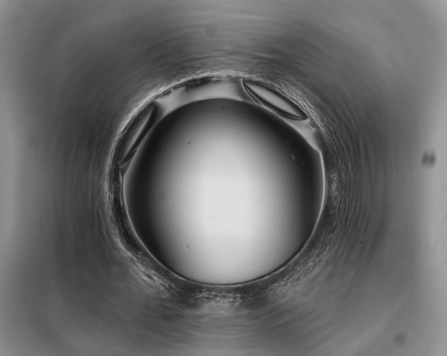 X0000098130676200804171522