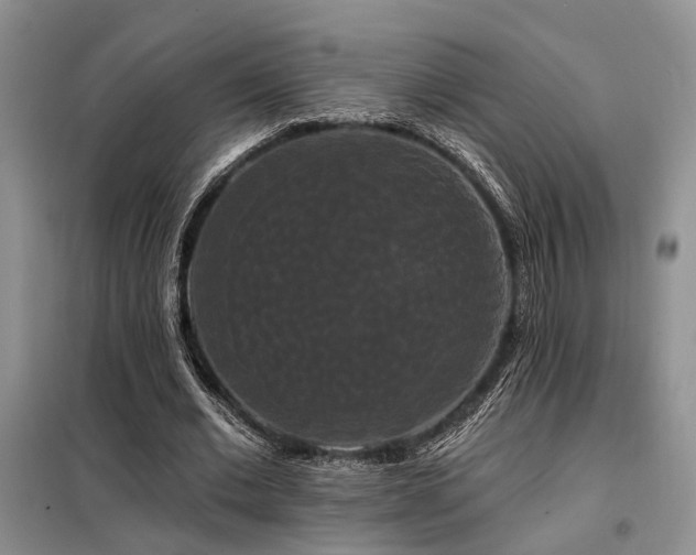 X0000098130677200804171522