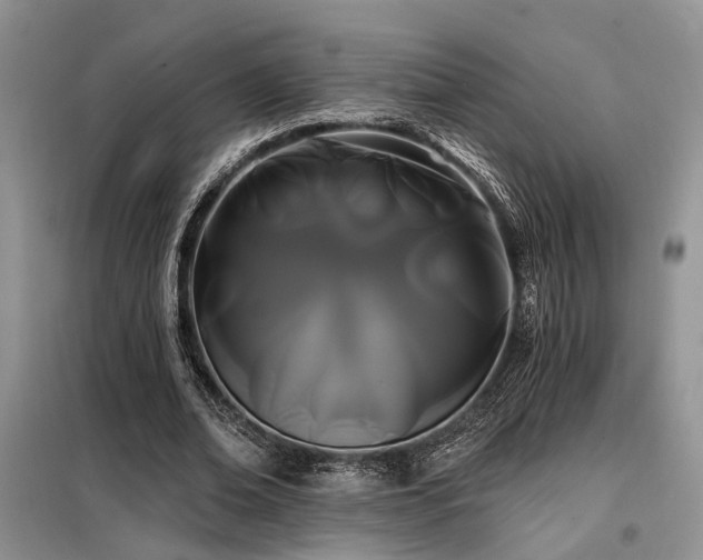 X0000098130678200804171522