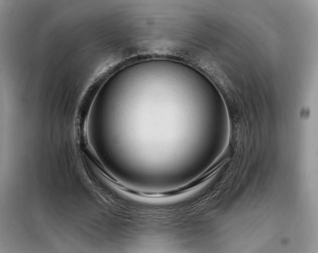 X0000098130680200804171522