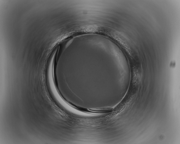 X0000098130681200804171522
