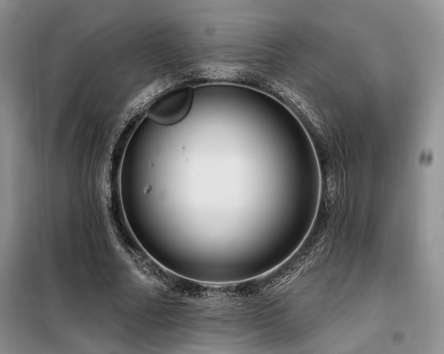 X0000098130682200804171522