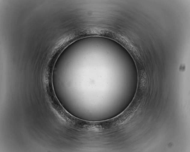 X0000098130683200804171522