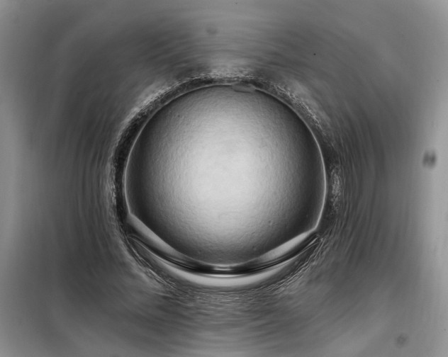 X0000098130684200804171522