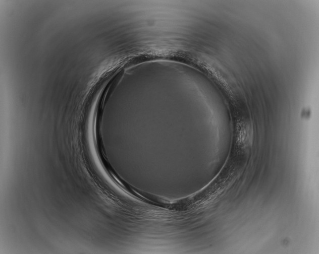 X0000098130685200804171522