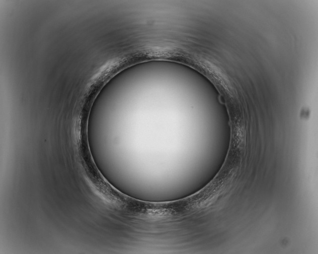 X0000098130686200804171522