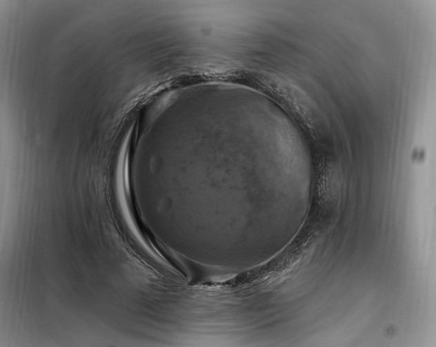 X0000098130689200804171522