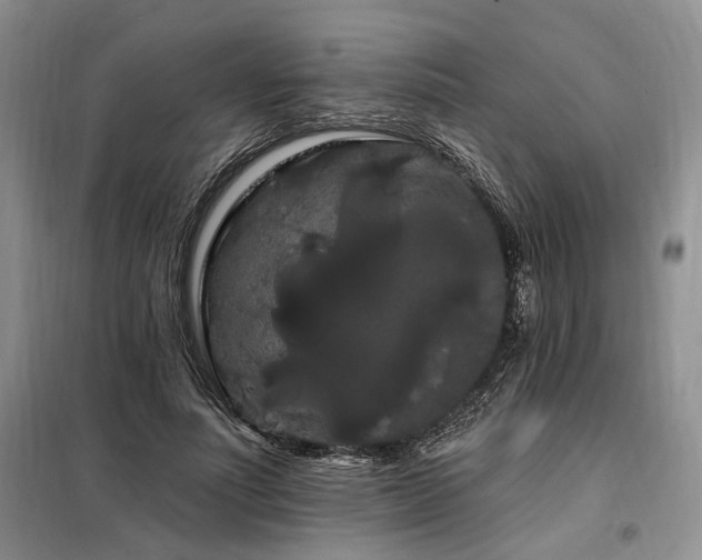 X0000098130691200804171522