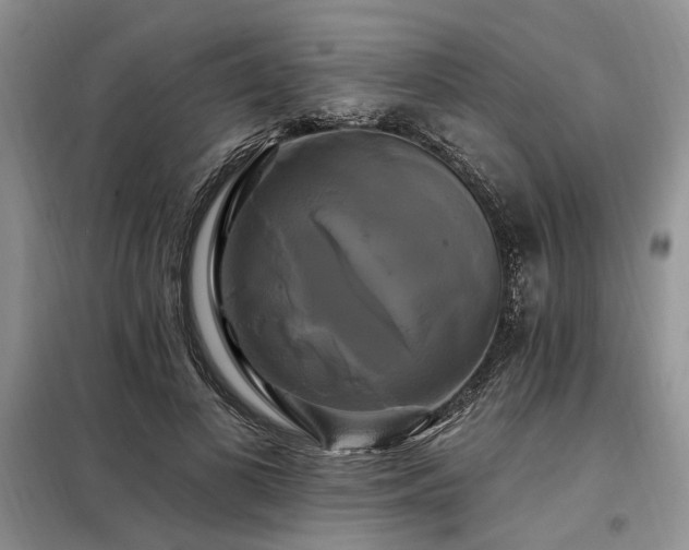 X0000098130693200804171522