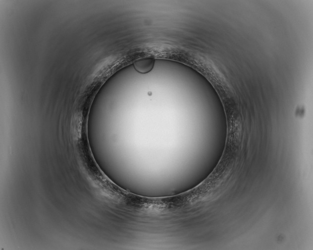 X0000098130694200804171522
