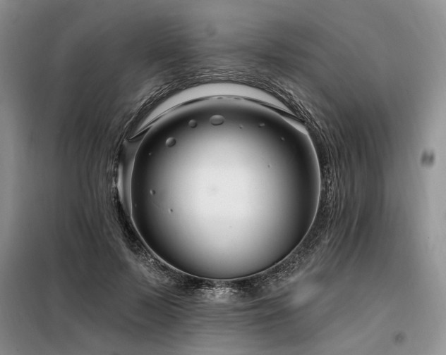 X0000098130695200804171522