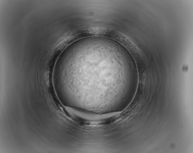 X0000098130696200804171522