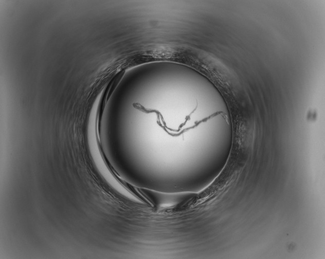 X0000098130697200804171521