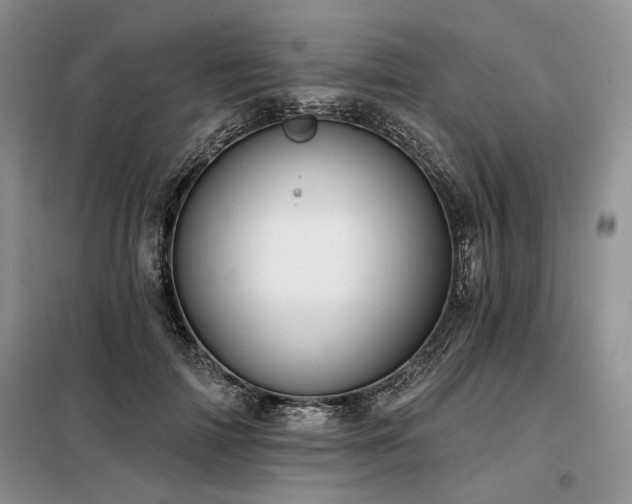 X0000098130698200804171521