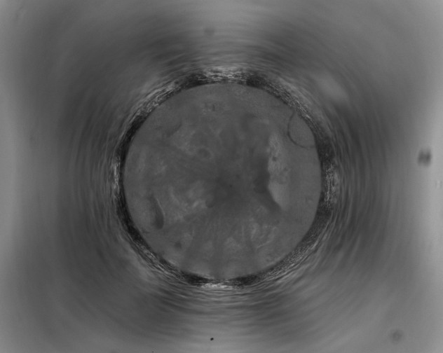 X0000098130699200804171521