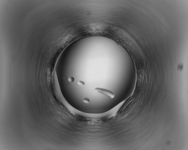 X0000098130700200804171521