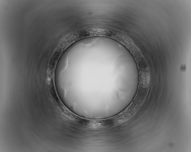 X0000098130701200804171521