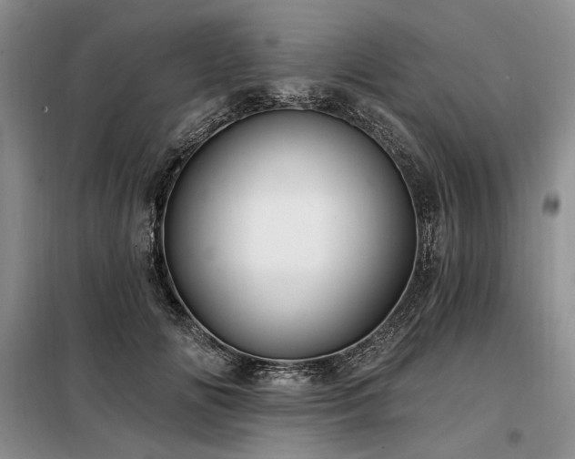 X0000098130702200804171521
