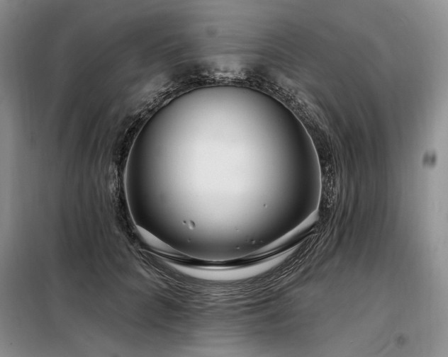 X0000098130704200804171521