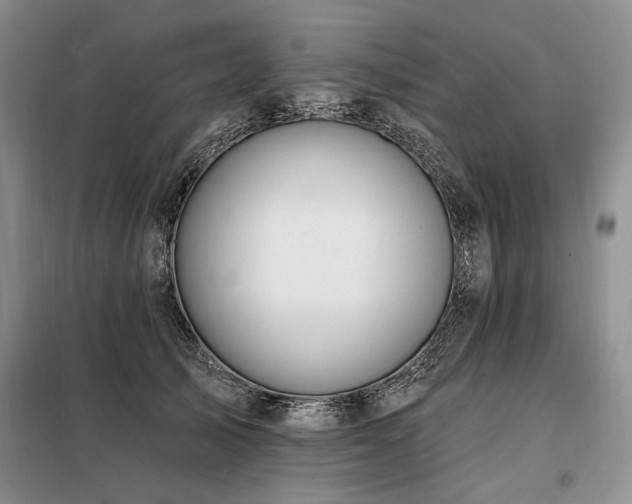 X0000098130705200804171521