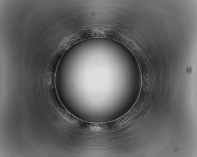 X0000098130706200804171521