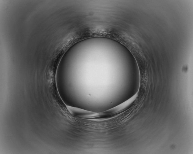 X0000098130708200804171521