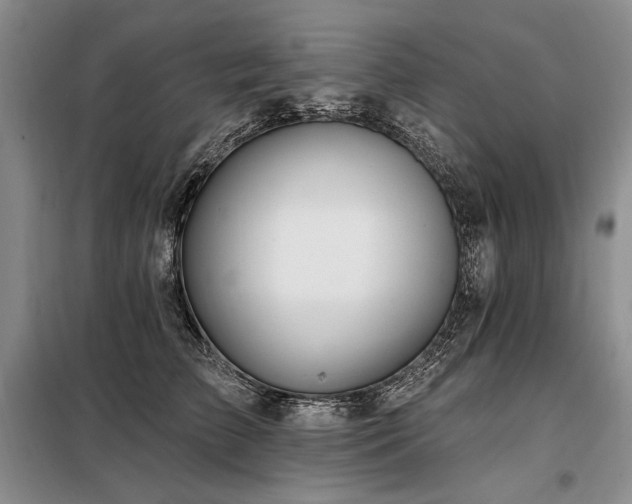 X0000098130709200804171521
