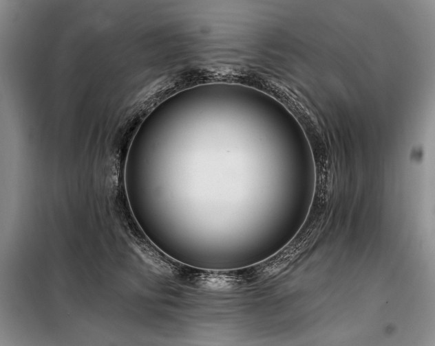 X0000098130710200804171521