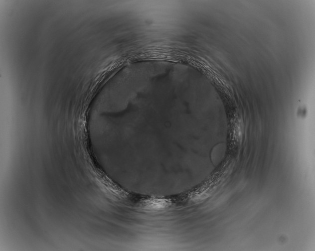 X0000098130711200804171521