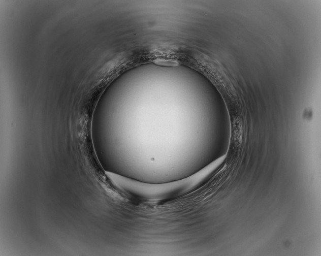 X0000098130712200804171521