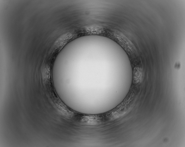 X0000098130713200804171521