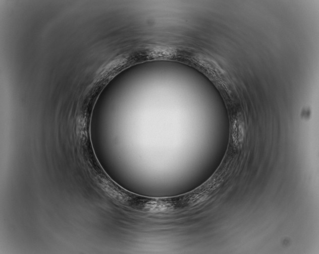 X0000098130714200804171521