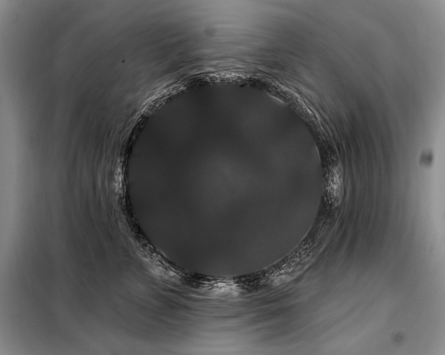 X0000098130715200804171521