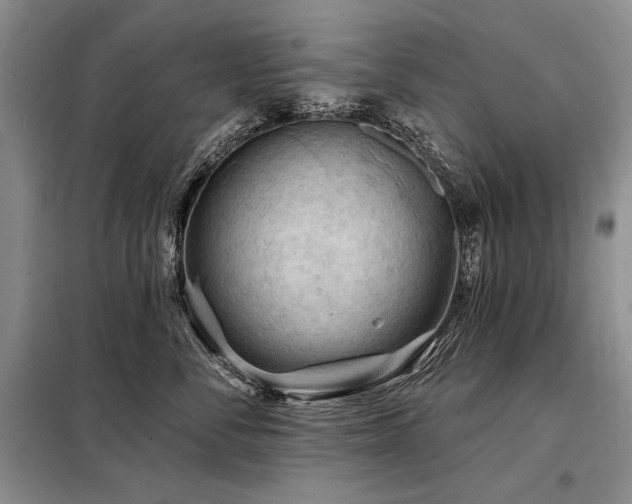 X0000098130716200804171521