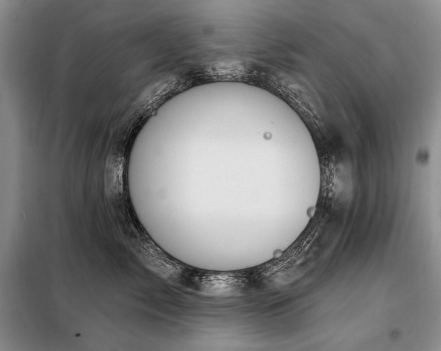 X0000098130717200804171521