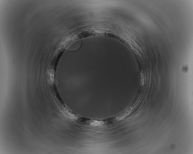 X0000098130718200804171521