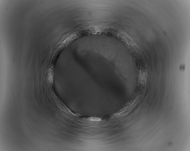 X0000098130719200804171521