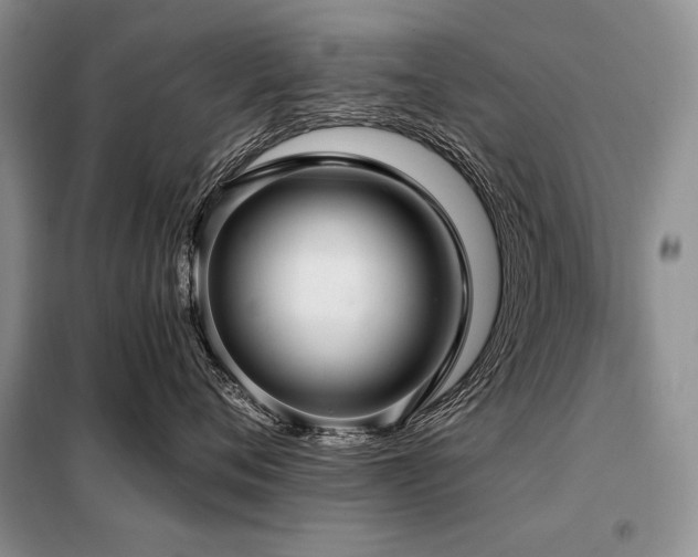 X0000098130720200804171521