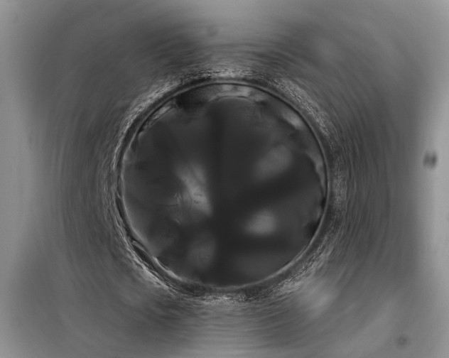 X0000098130721200804171520