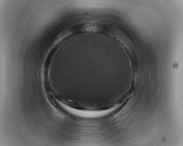 X0000098130722200804171520