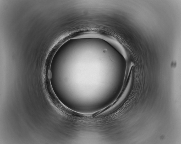 X0000098130726200804171520
